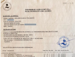 Expediente Académico